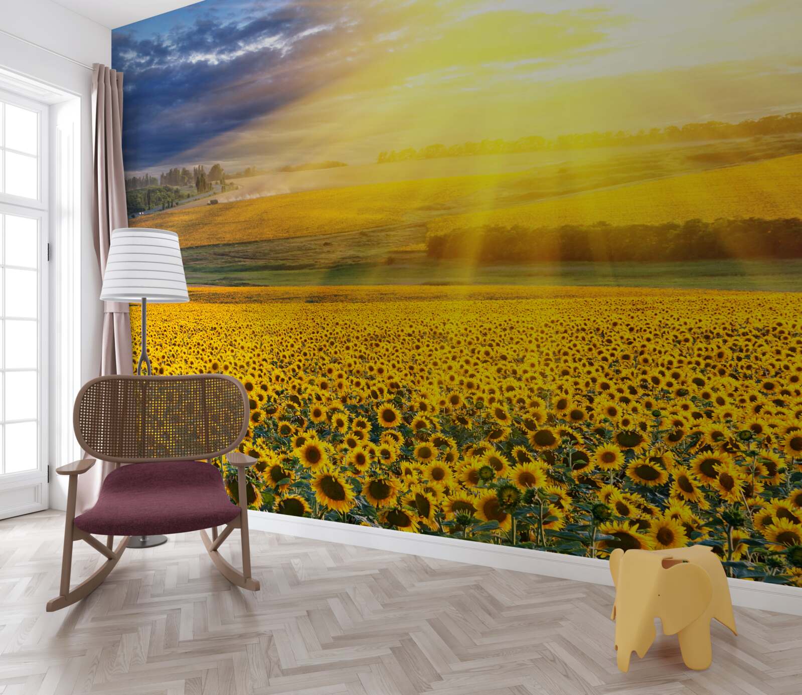 Фотошпалери сонце сяє над полем пишних соняшників