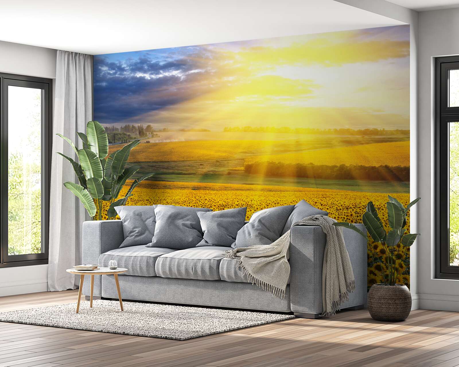 Фотошпалери сонце сяє над полем пишних соняшників