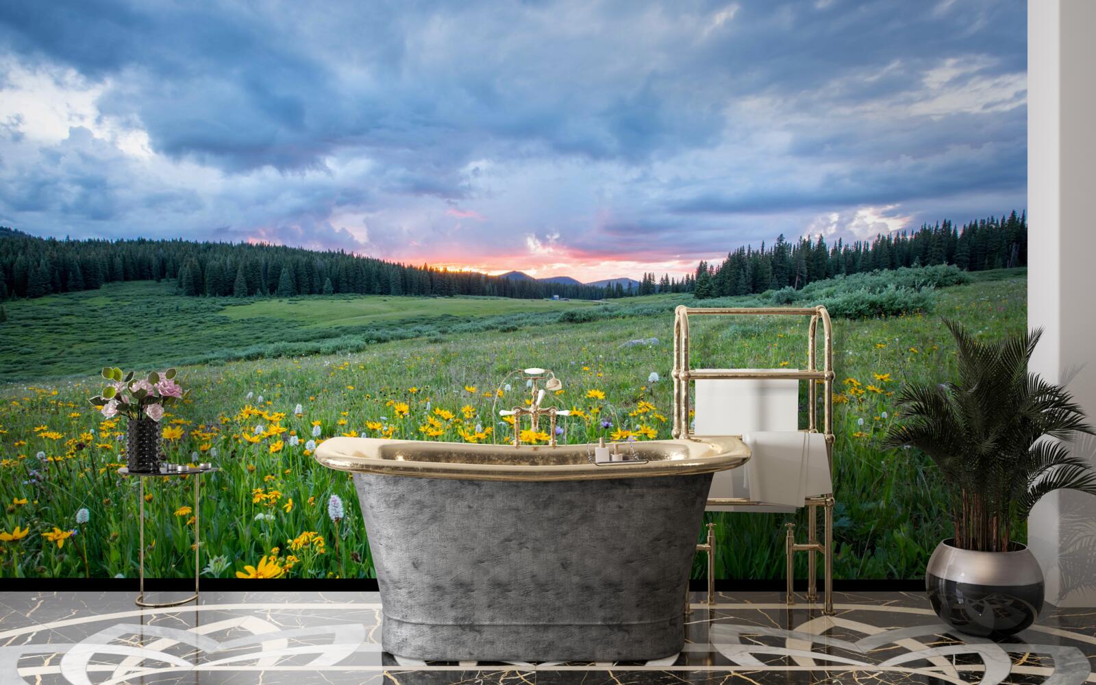 Фотошпалери польові лугові рослини