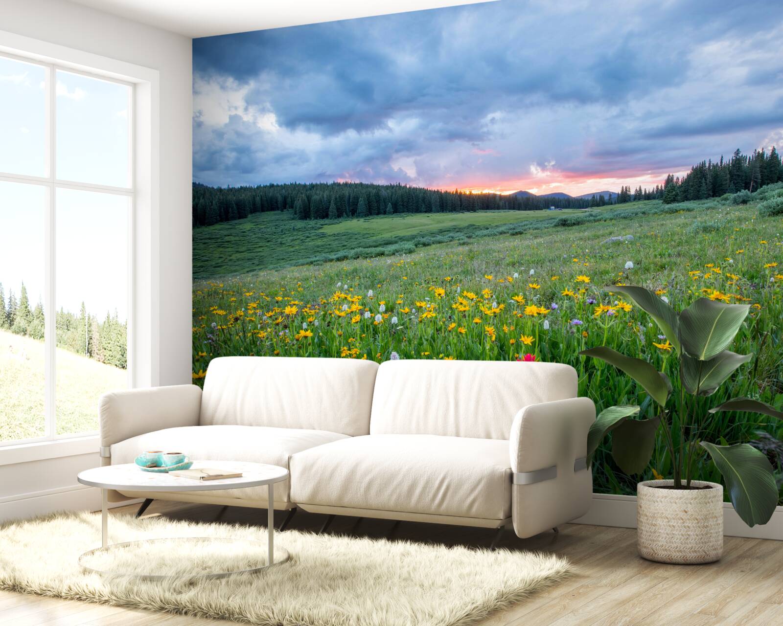 Фотошпалери польові лугові рослини