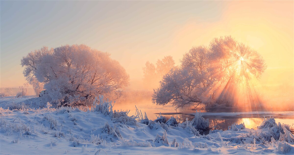 Фотошпалери зимовий ранок на морозі