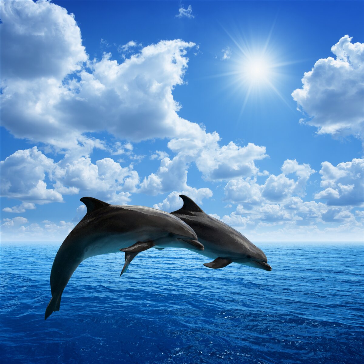 Фотошпалери вибачте, але "a92785" не є повним реченням, фразою або перефразуванням. надайте повне речення, щоб я міг вам краще допомогти