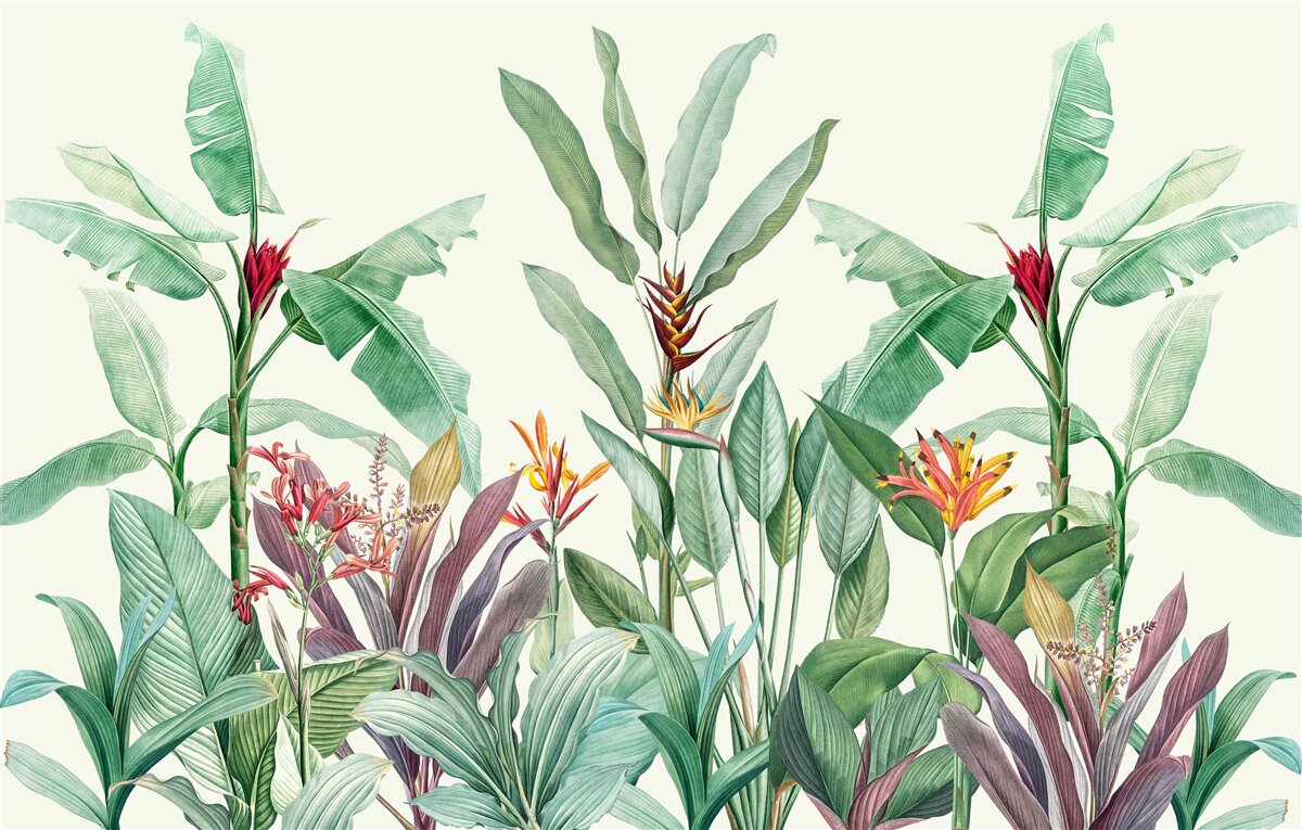 Фотошпалери тропічне зелене листя