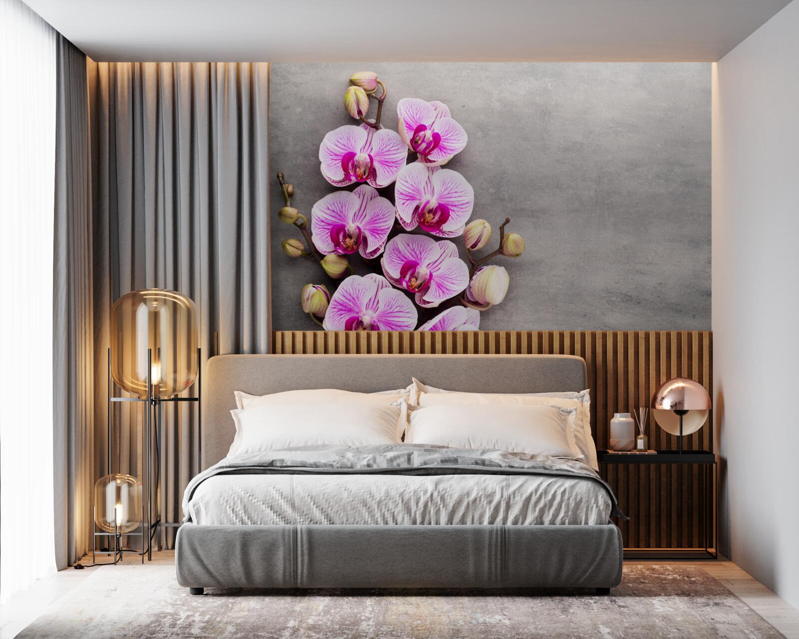 Фотошпалери бузково-біла орхідея