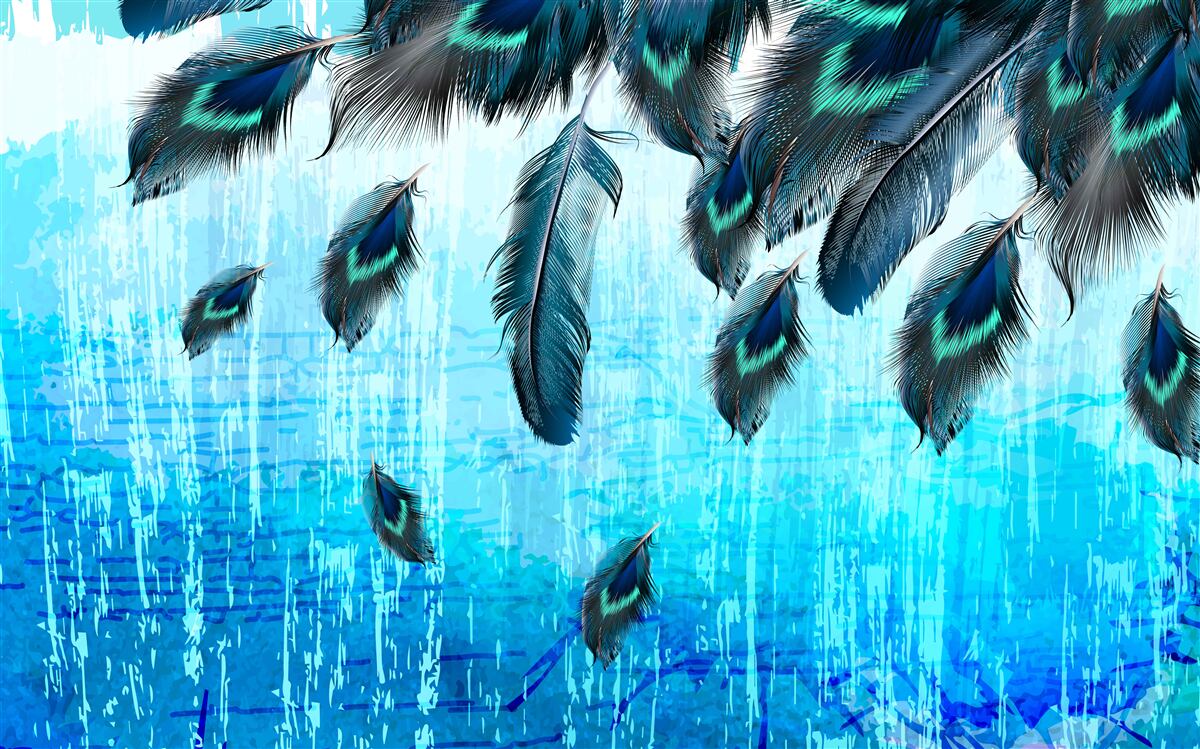 Фотошпалери павине пір'я на синьому тлі