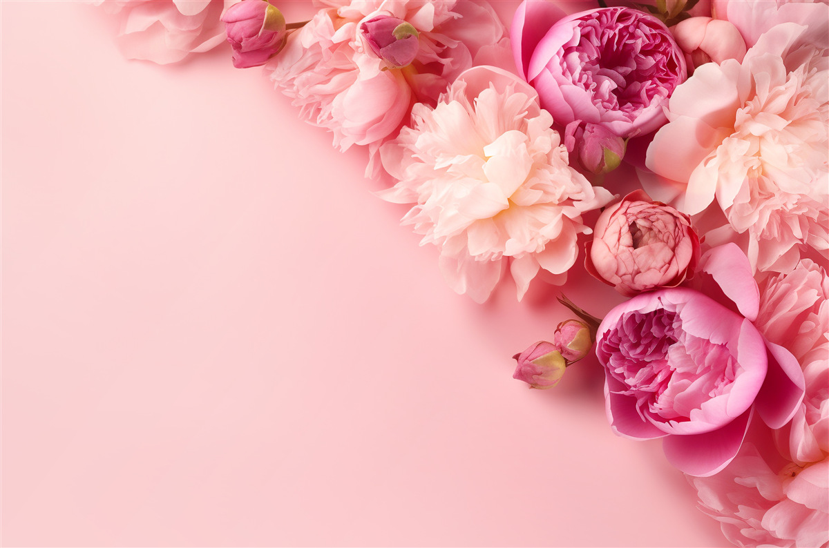 Фотошпалери різні рожеві квіти на тлі одного відтінку