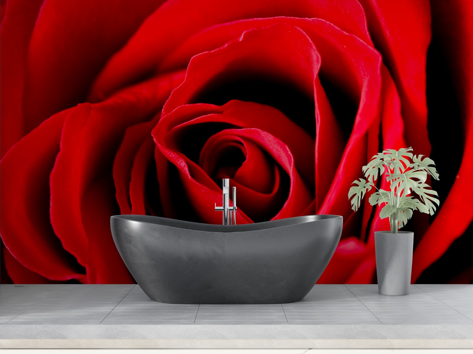 Фотошпалери розкішна червона троянда