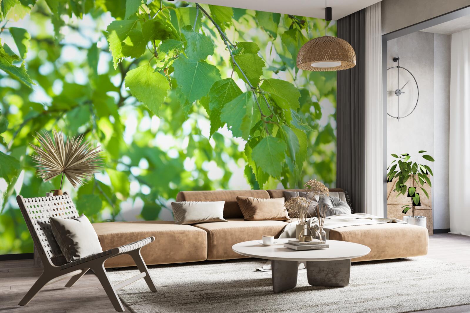 Фотошпалери березове листя на тлі блакитного неба