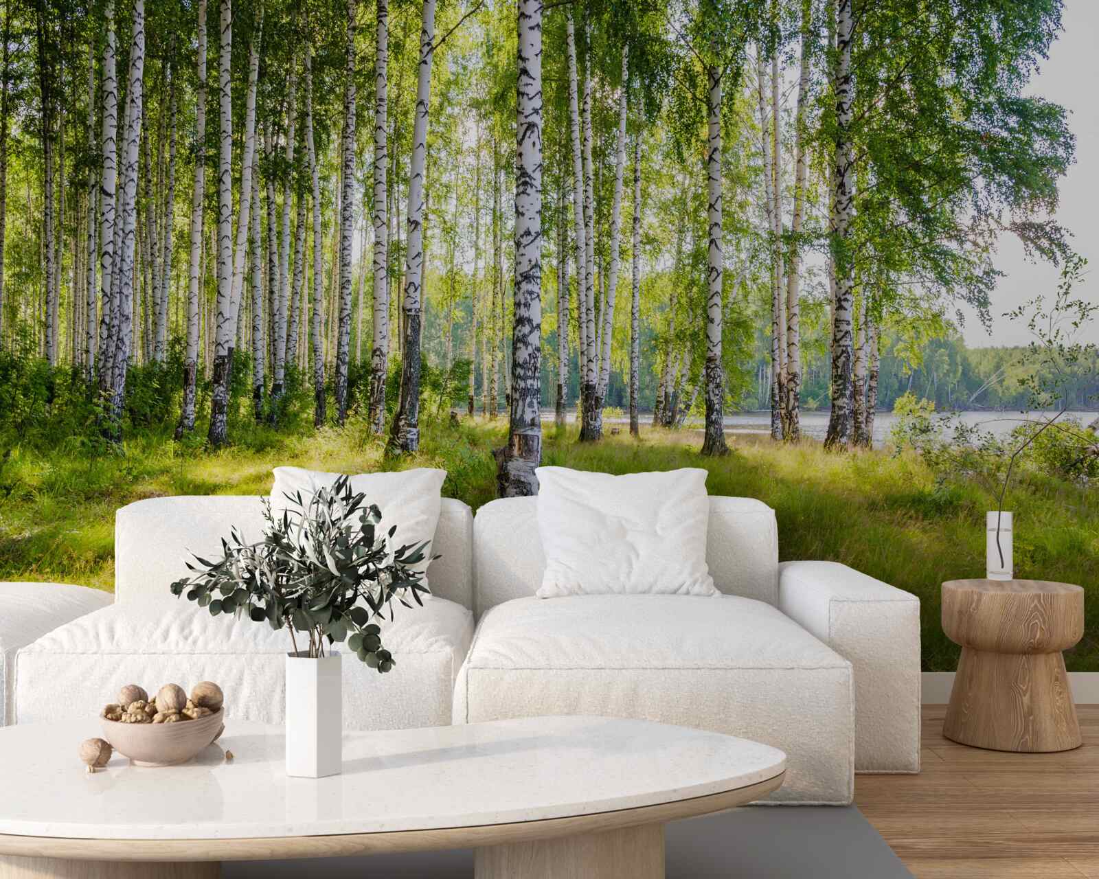 Фотошпалери Світанок у зеленому березовому скрабі