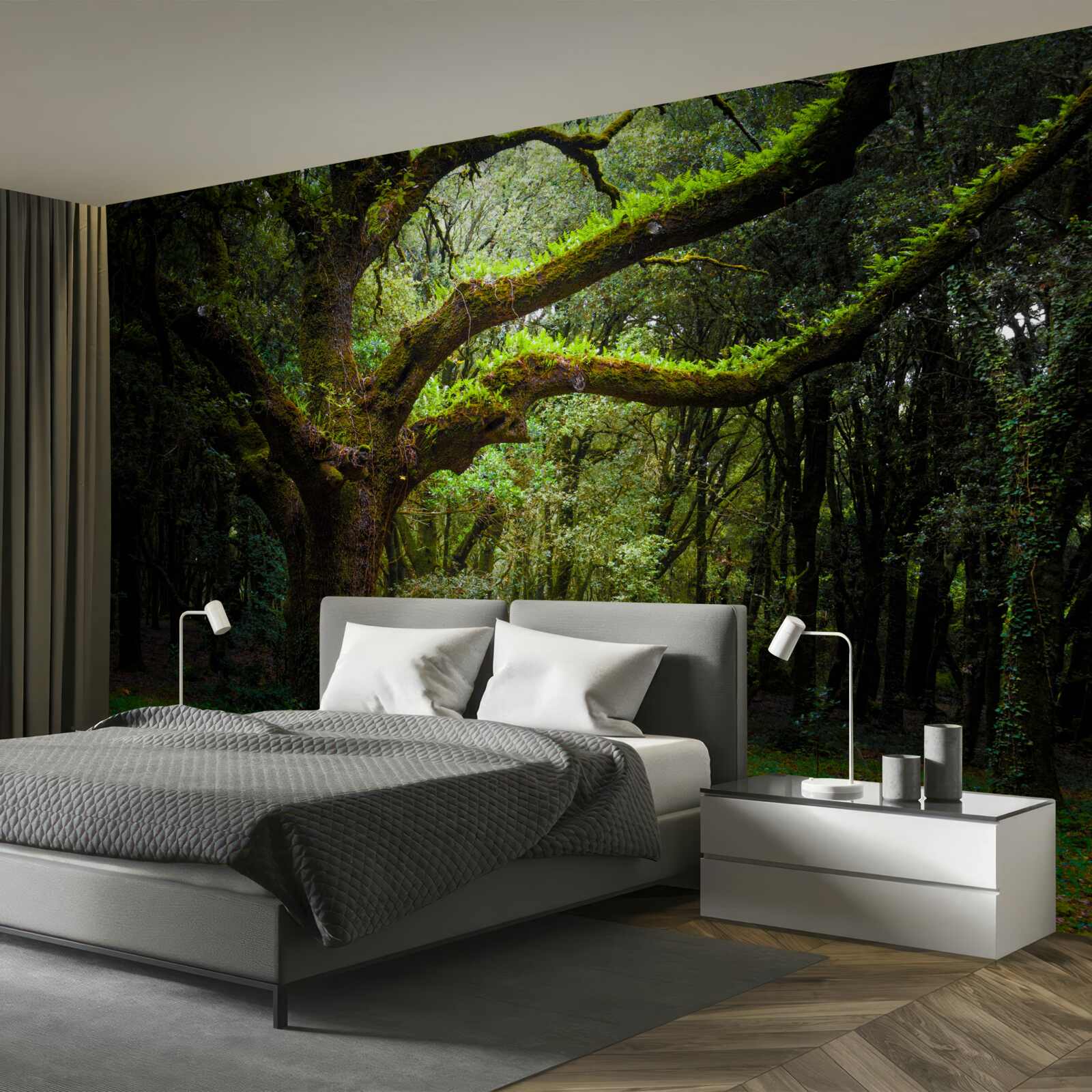 Фотошпалери кошлатий древній ліс з густими деревами