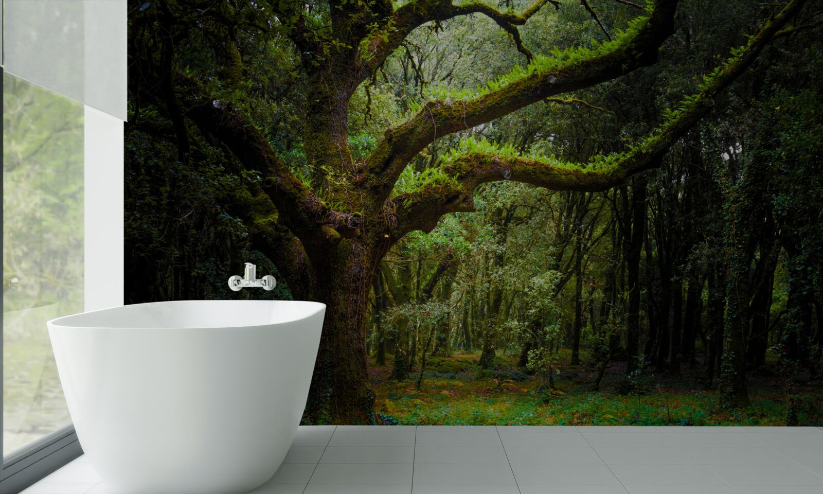 Фотошпалери кошлатий древній ліс з густими деревами