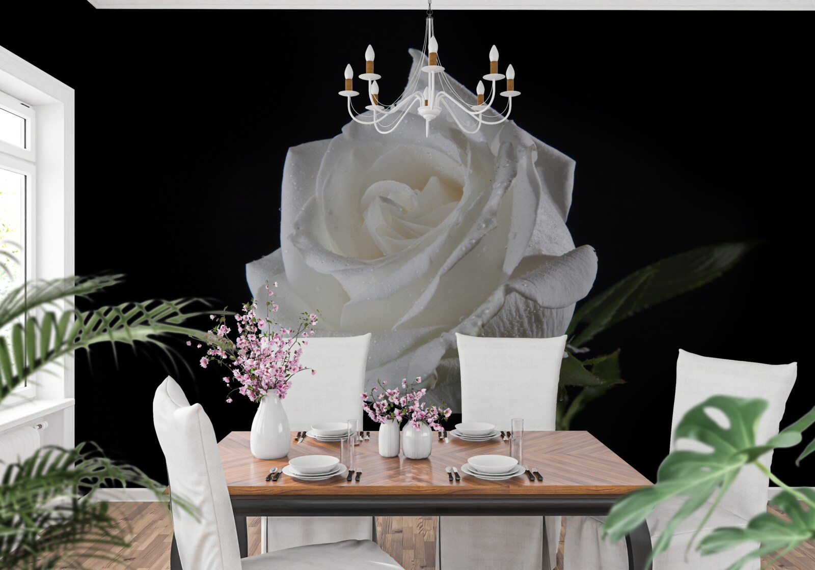 Фотошпалери чорний фон підкреслює білий колір троянди