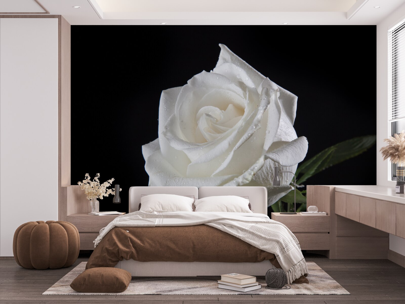 Фотошпалери чорний фон підкреслює білий колір троянди