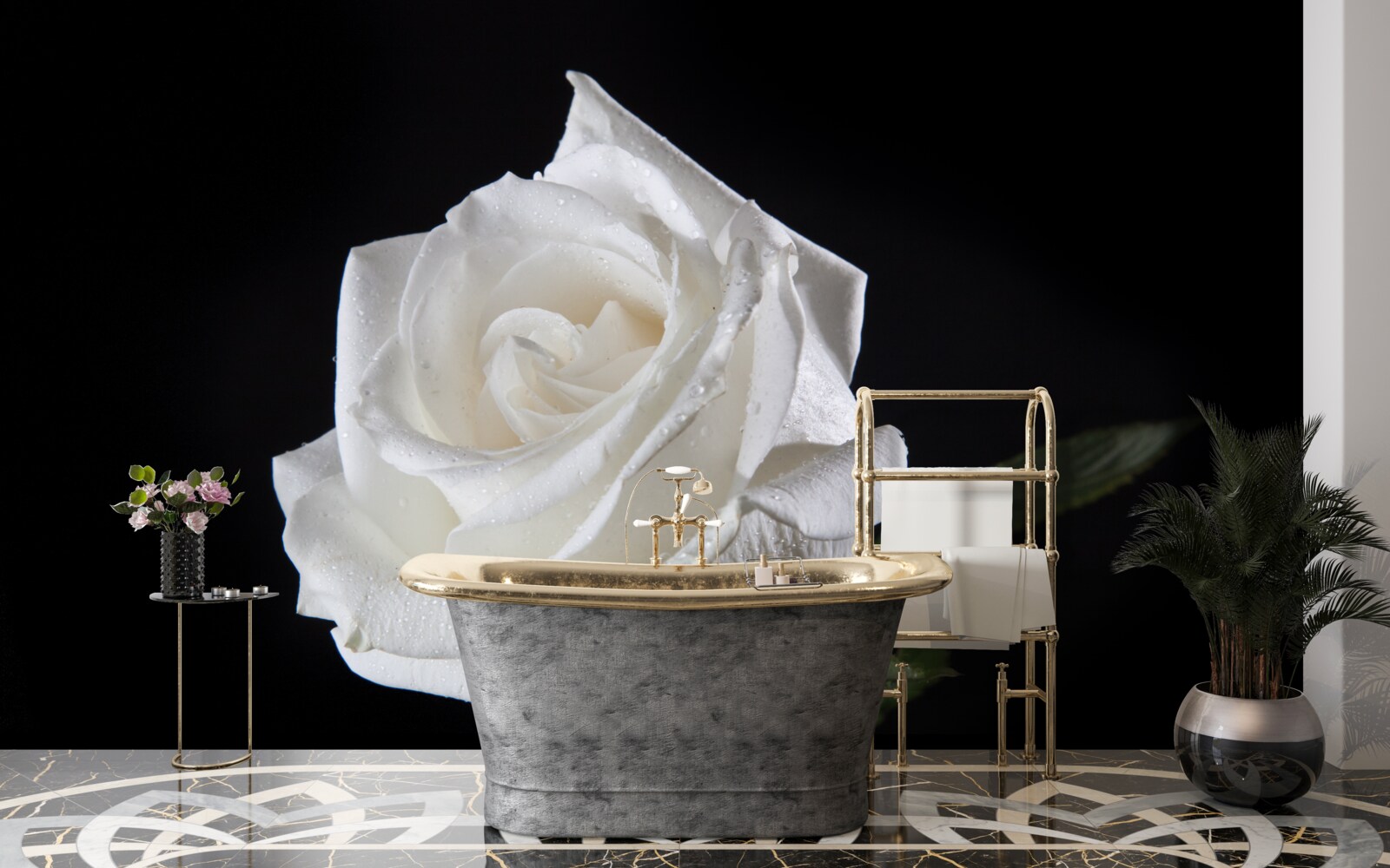 Фотошпалери чорний фон підкреслює білий колір троянди