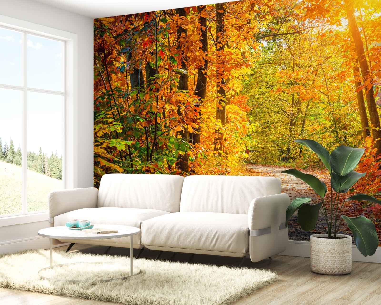 Фотошпалери захід сонця з осіннім сонцем