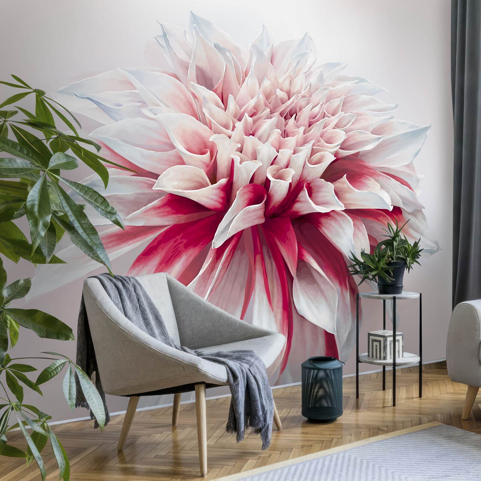 Фотошпалери приголомшливий пончик астра в червоно-білому кольорі