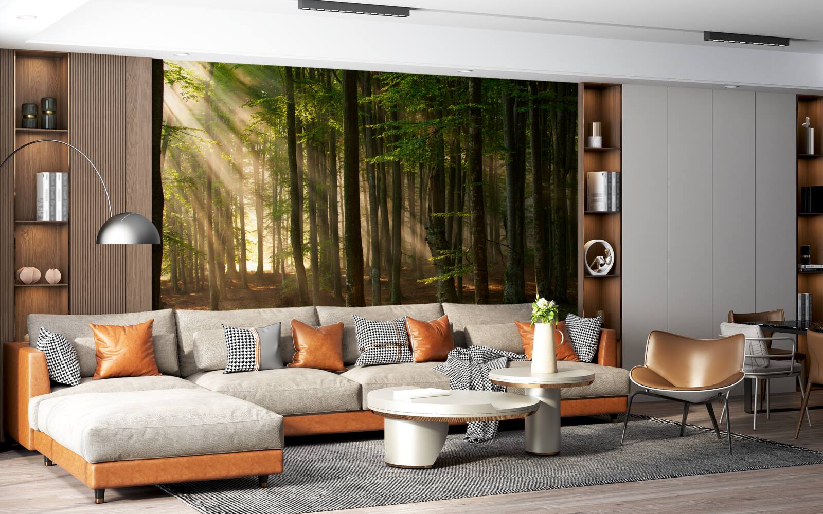 Фотошпалери Сонячне світло виганяє прохолоду з лісу після нічної прогулянки