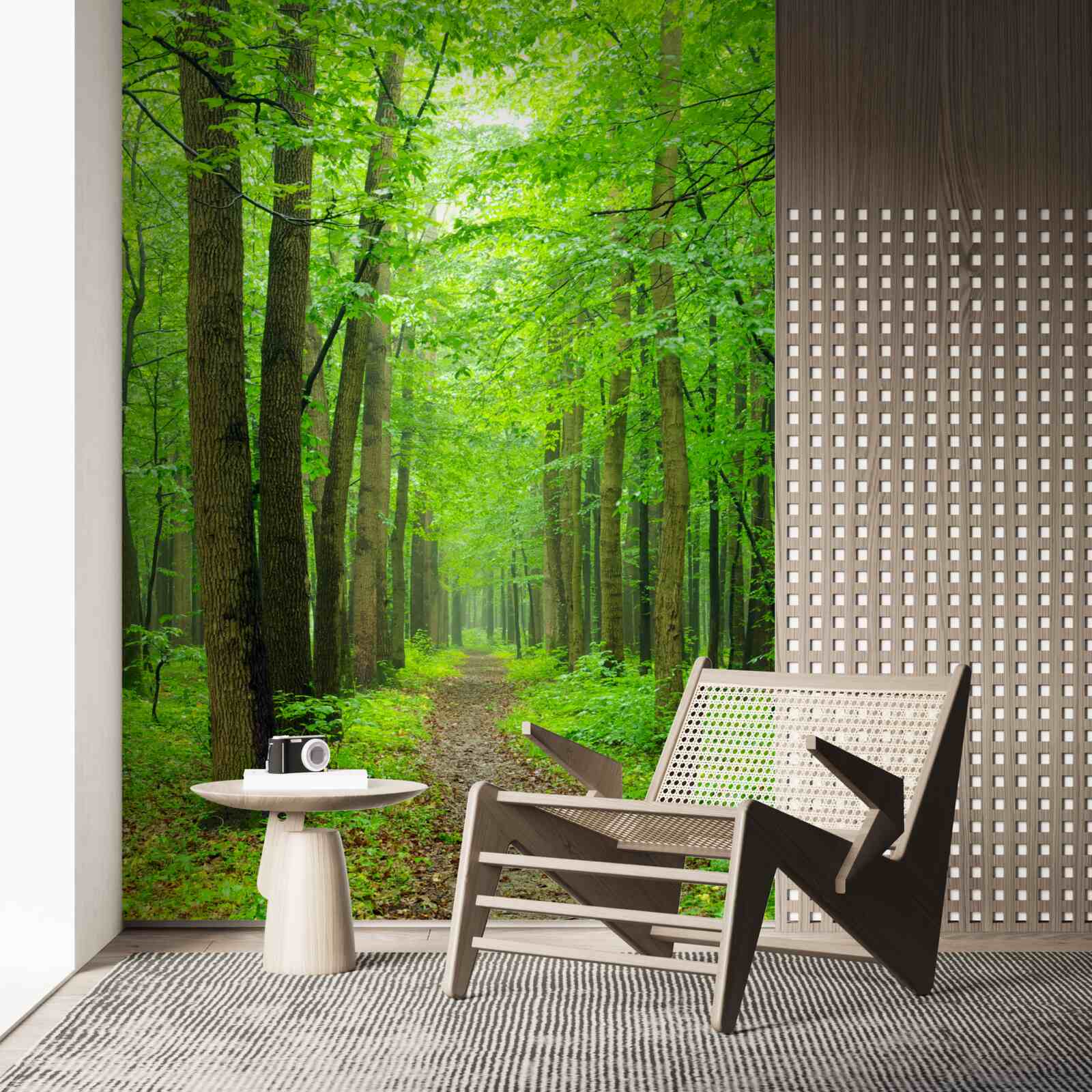 Фотошпалери зручна стежка через витончений листяний ліс