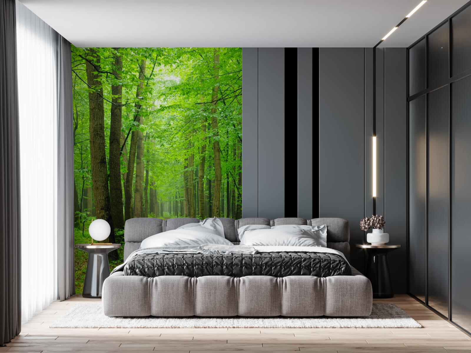 Фотошпалери зручна стежка через витончений листяний ліс