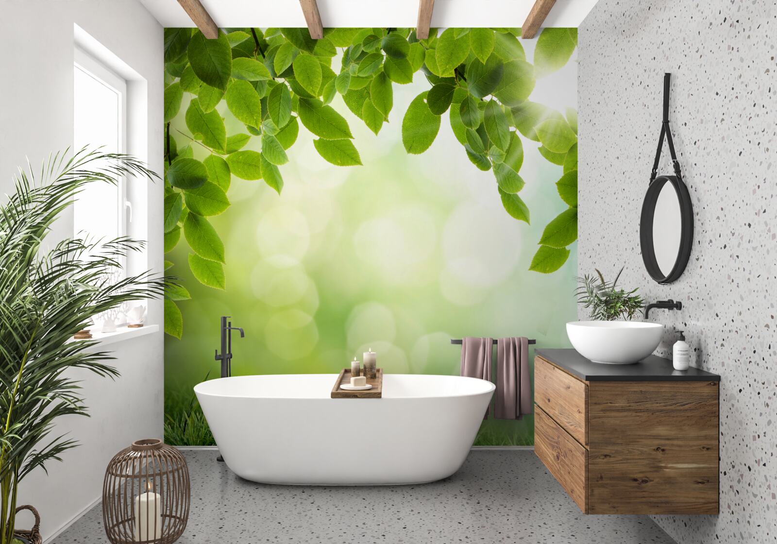 Фотошпалери сонце в його яскравості та листя, прикрашене зеленими краплями