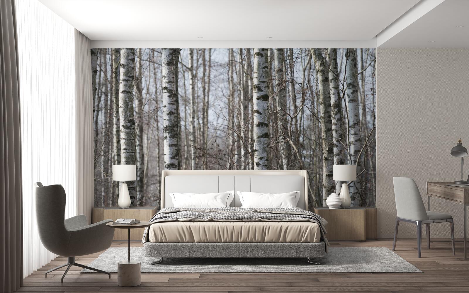 Фотошпалери повалені витончені берізки