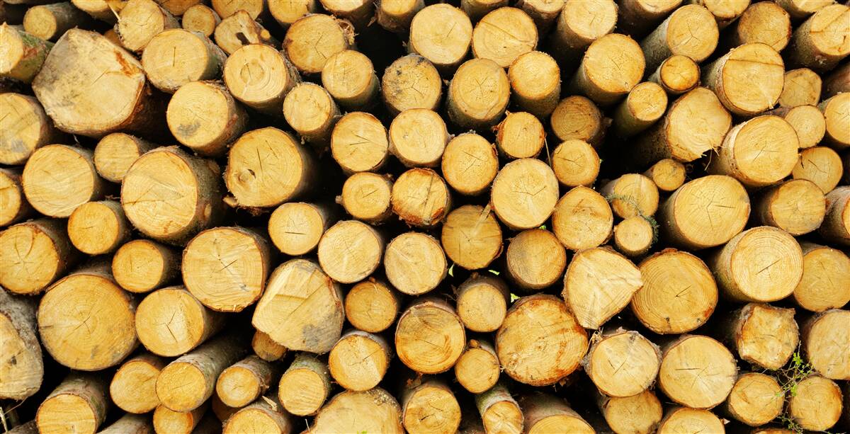 Фотошпалери купа зрубаних дров