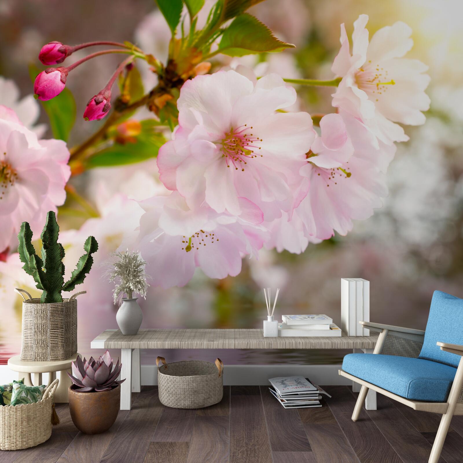 Фотошпалери гілки вишні з рожевим цвітом нависають над водою