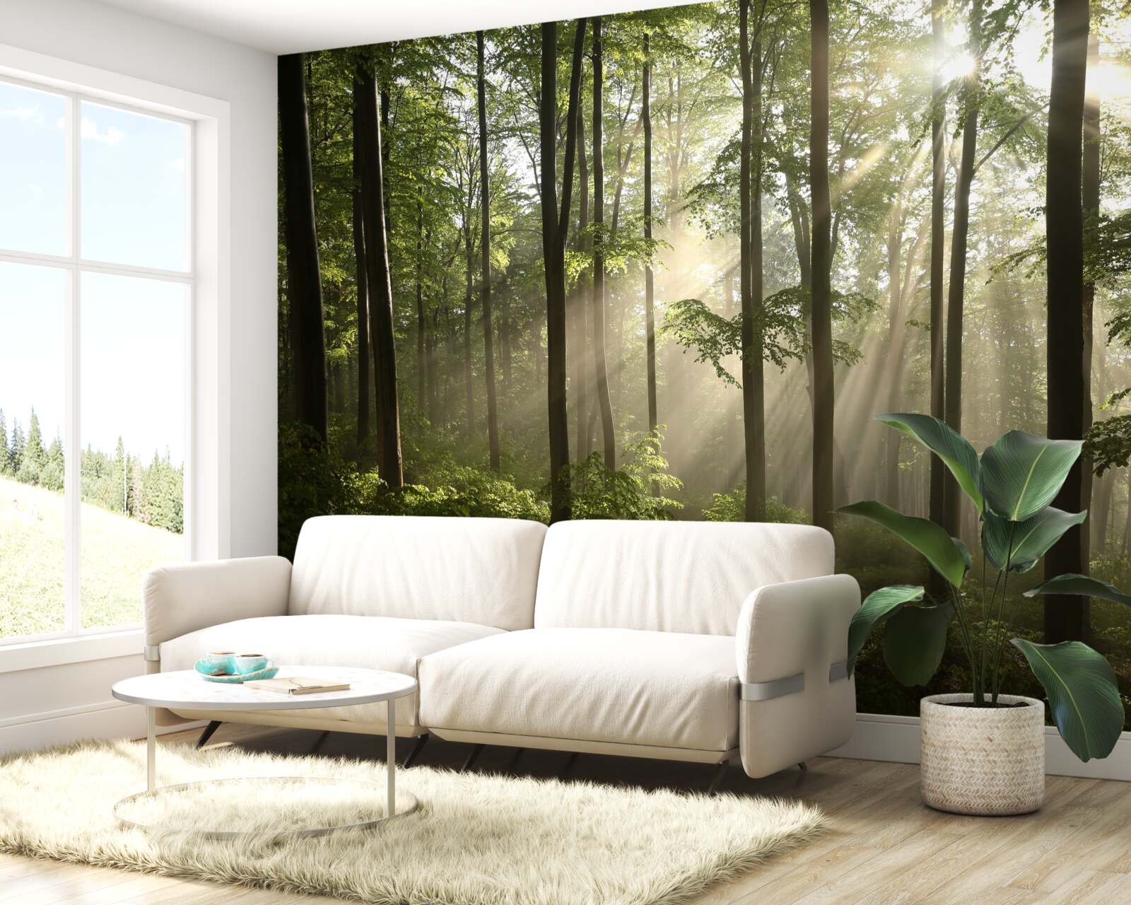 Фотошпалери сонячні промені проникають крізь туман у лісі