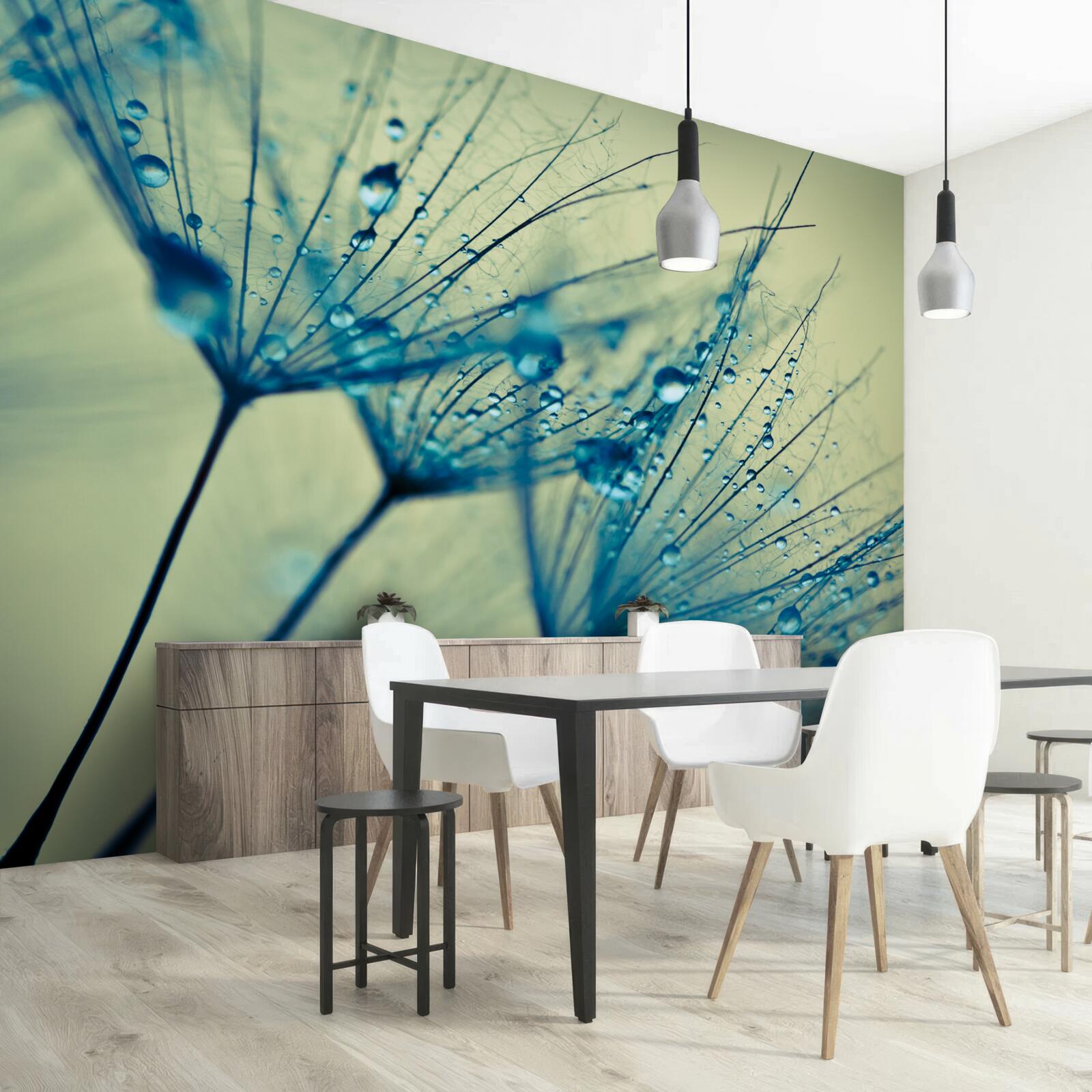 Фотошпалери кульбаба, прикрашена краплями води