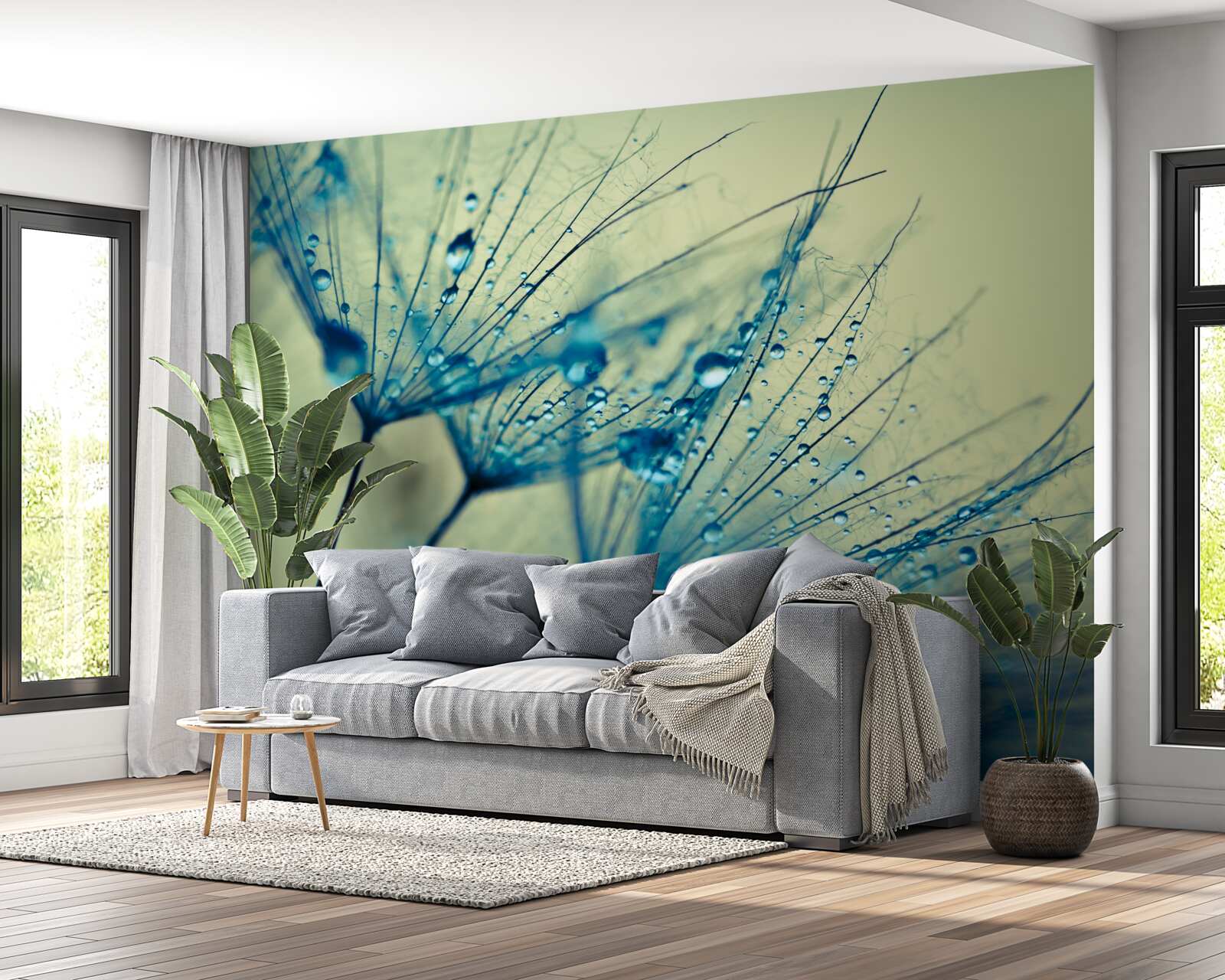 Фотошпалери кульбаба, прикрашена краплями води