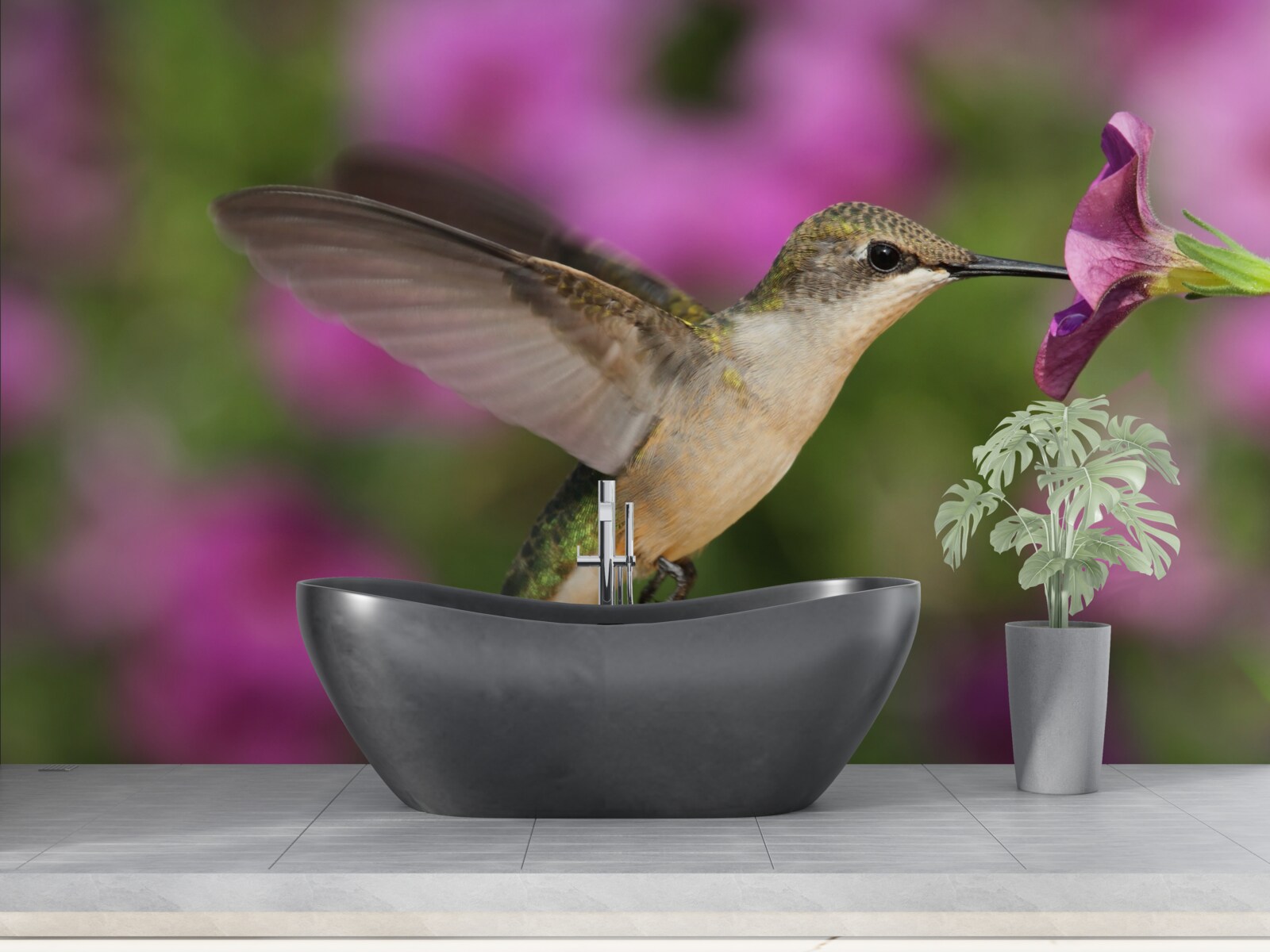 Фотошпалери нектар втамовує спрагу колібрі