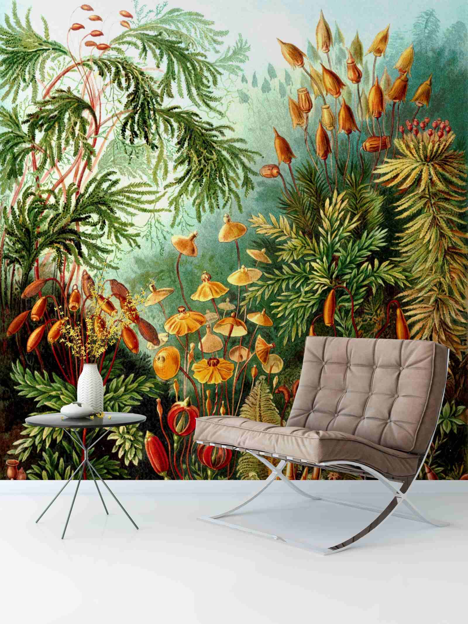 Фотошпалери приголомшливі відтінки тропічних лісів