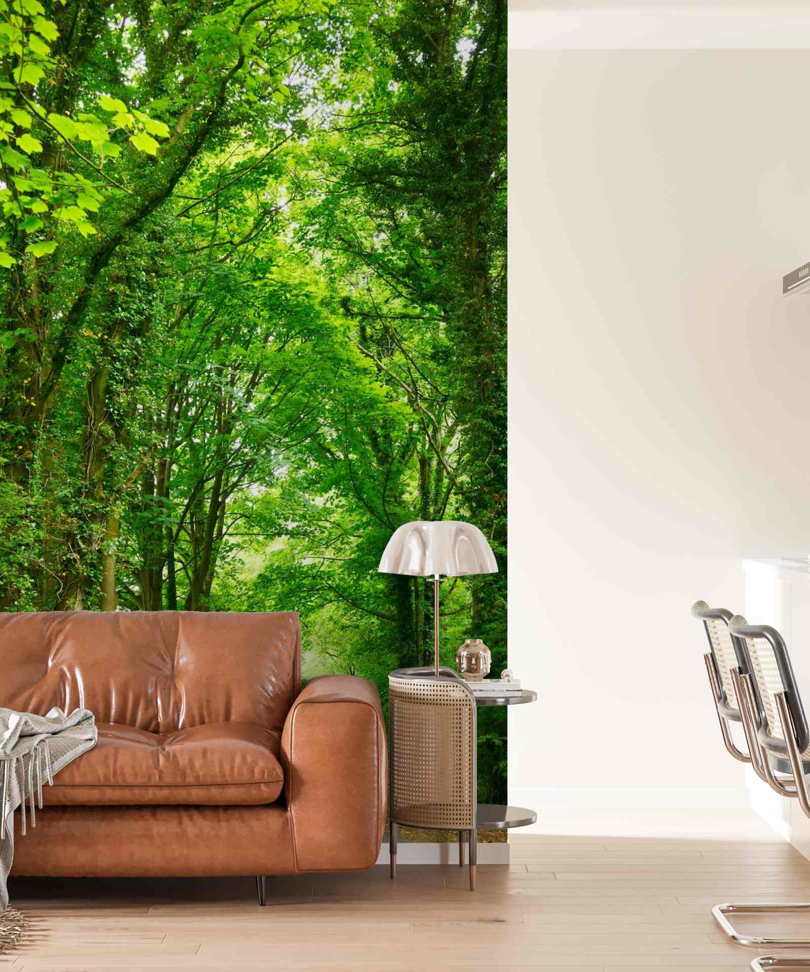 Фотошпалери над стежкою здіймаються арки зелених дерев