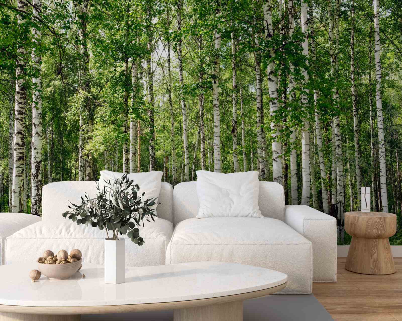 Фотошпалери стрункий березовий гай