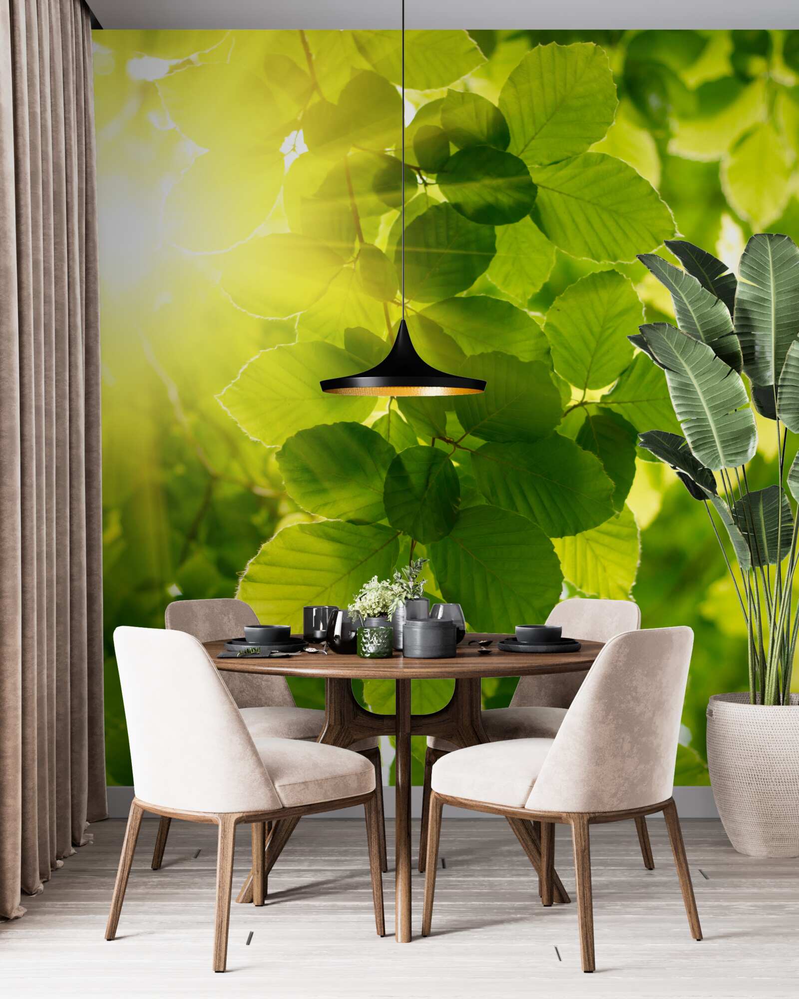 Фотошпалери ранкове світло сонця вітає зелене листя