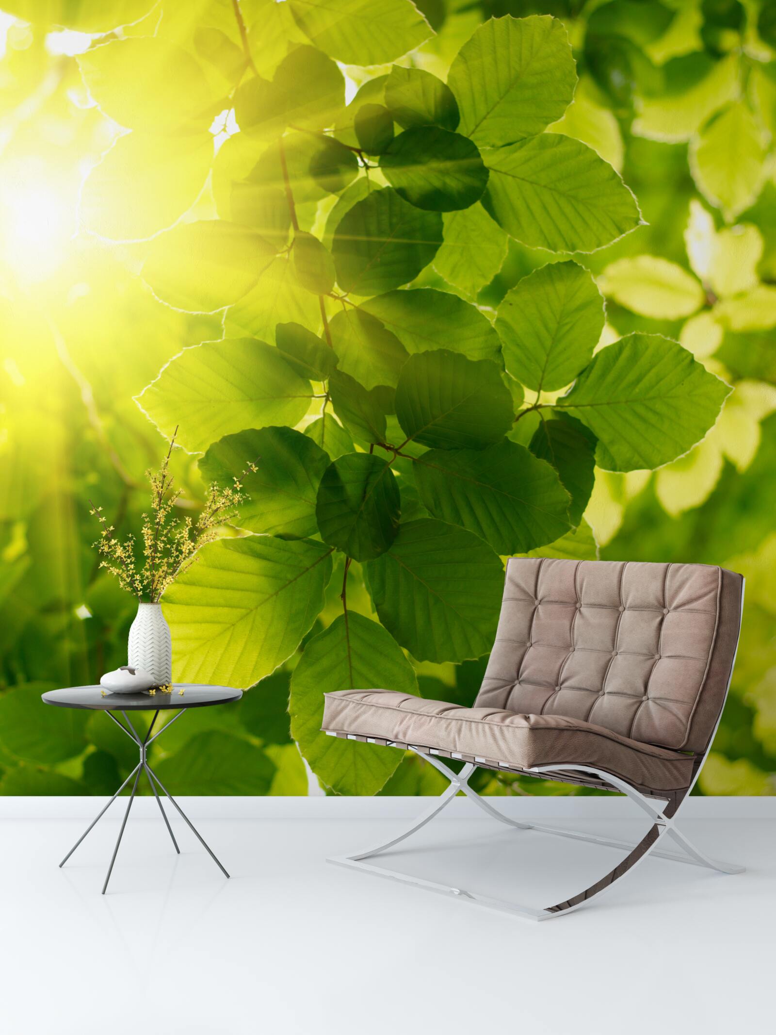 Фотошпалери ранкове світло сонця вітає зелене листя