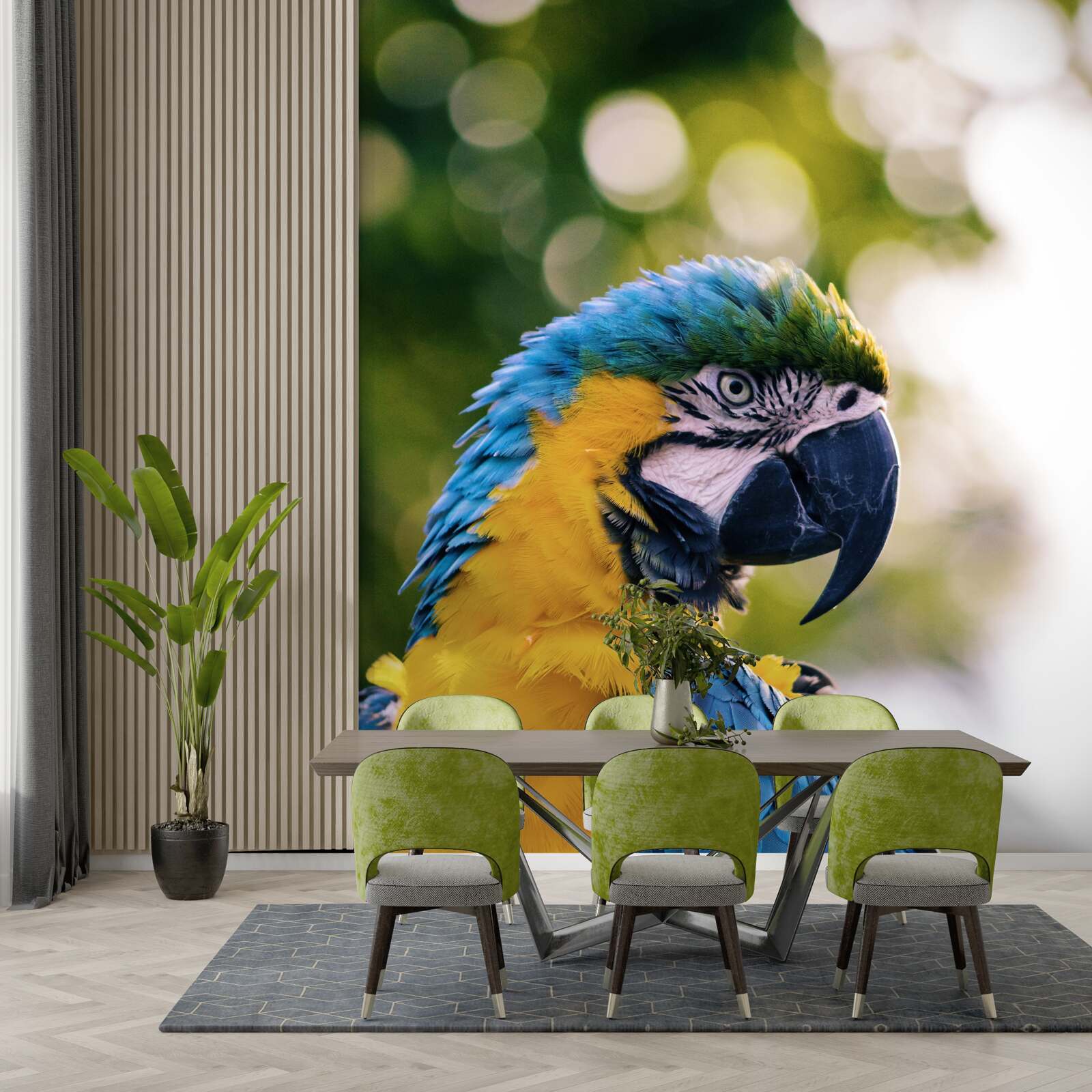 Фотошпалери зображення привабливого папуги