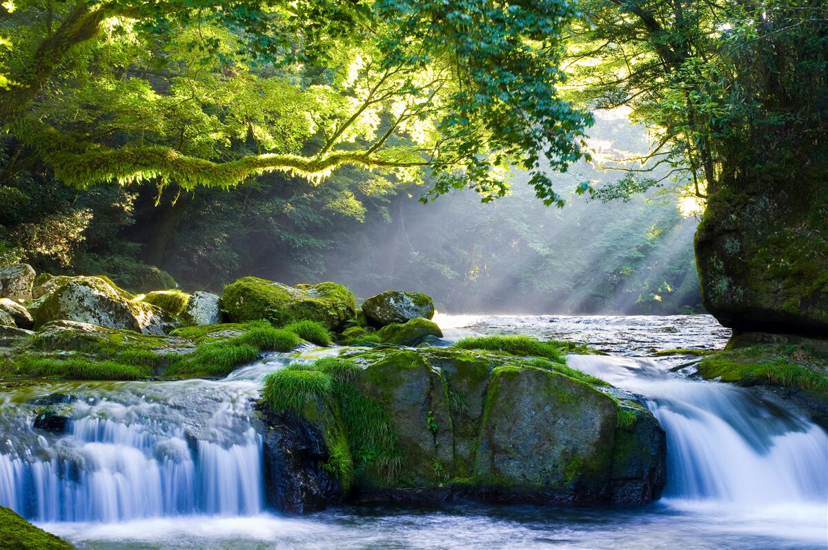 Фотошпалери промені сонця досягають лісового водоспаду