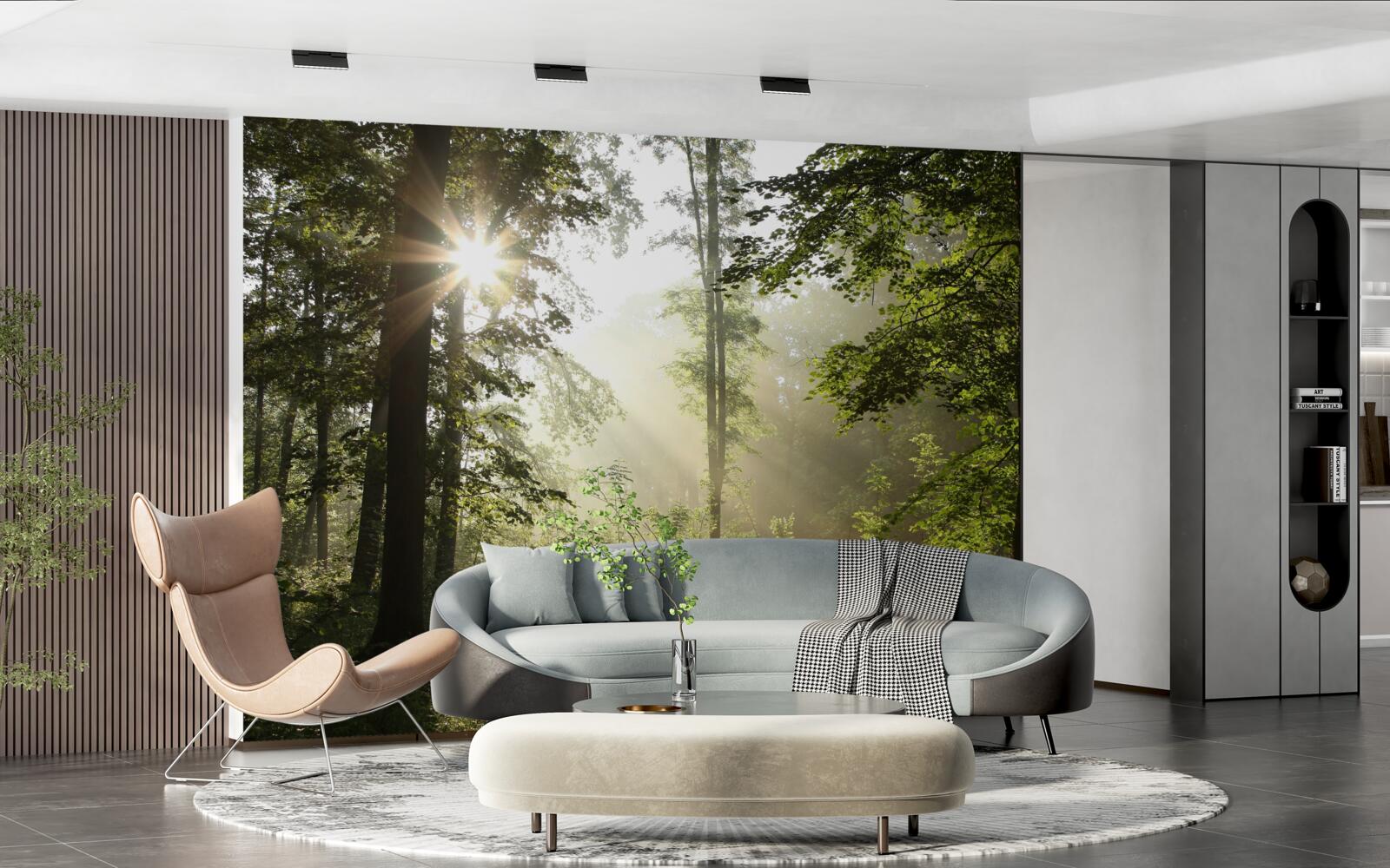 Фотошпалери сонячні промені відбивають нічну прохолоду від дерев