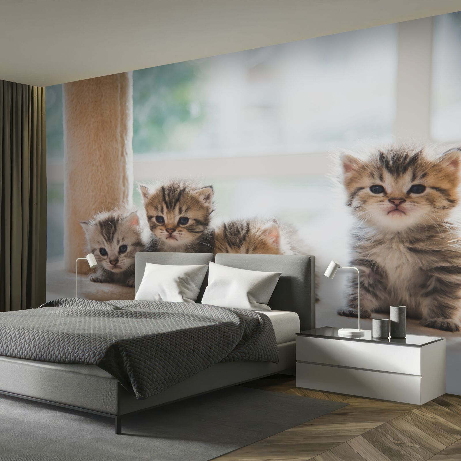 Фотошпалери кошенята шукають маму