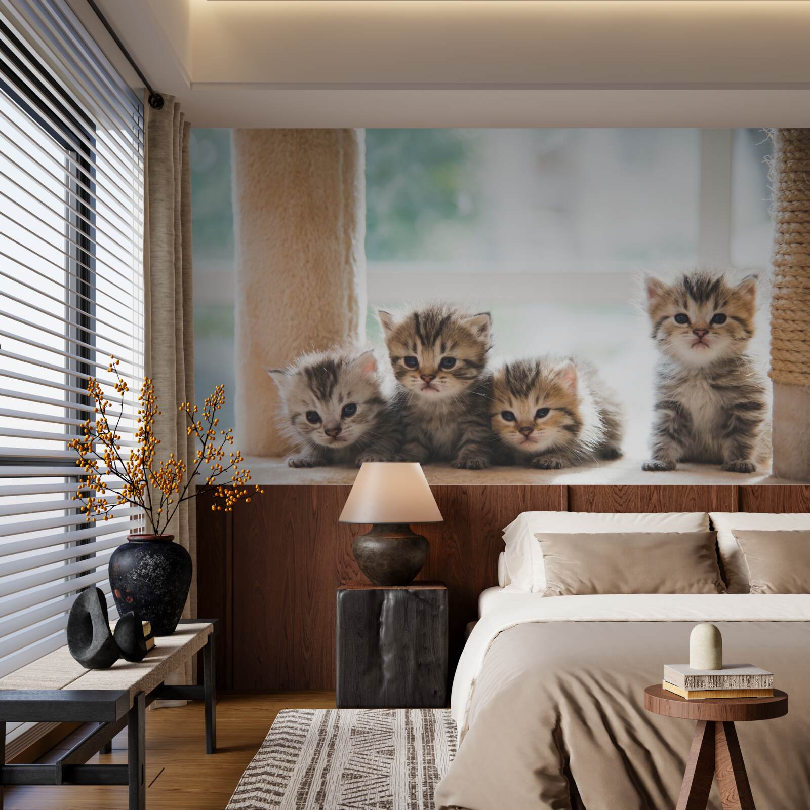 Фотошпалери кошенята шукають маму