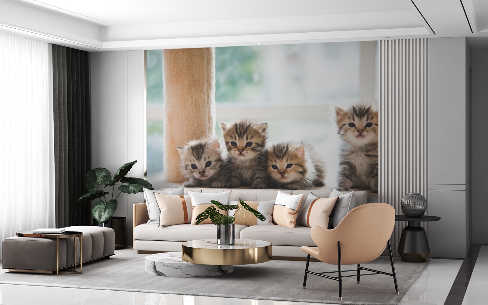 Фотошпалери кошенята шукають маму