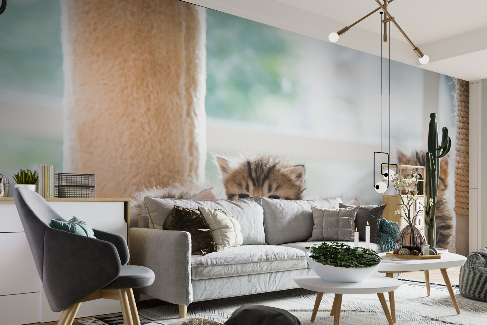 Фотошпалери кошенята шукають маму