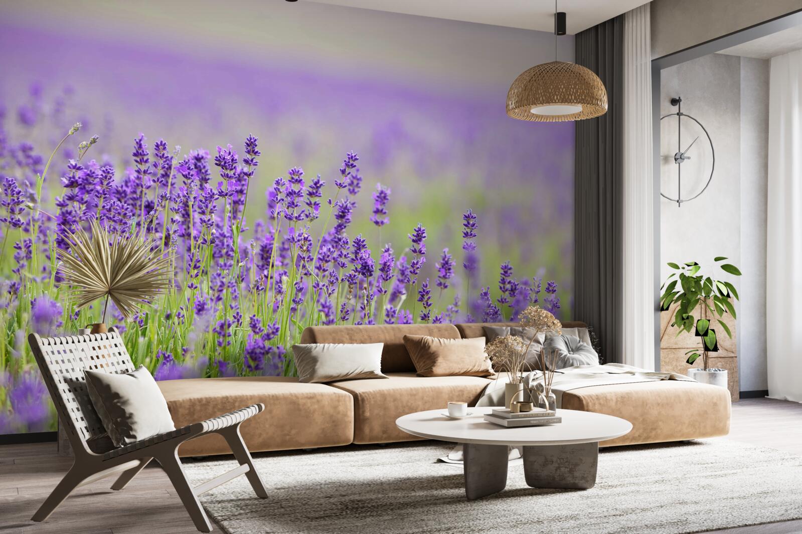 Фотошпалери лавандові поля