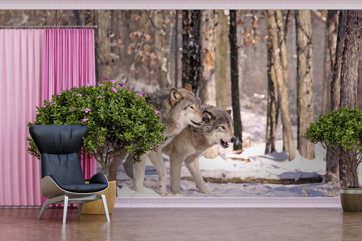 Фотошпалери група вовків йде крізь хащі зимового лісу