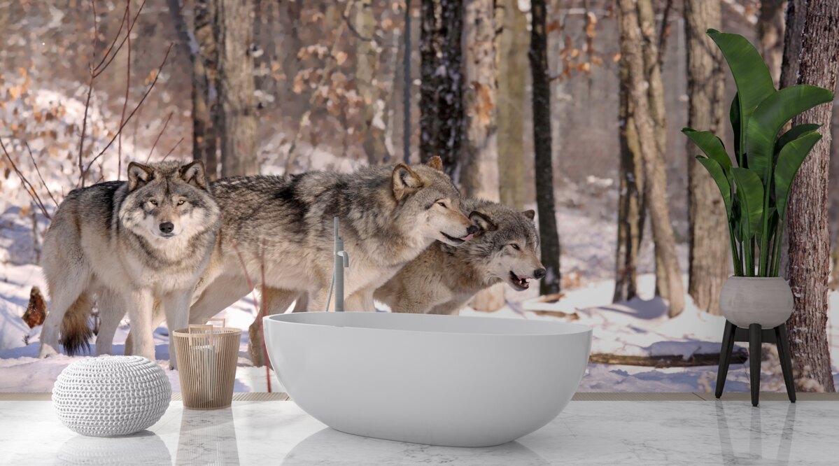 Фотошпалери група вовків йде крізь хащі зимового лісу