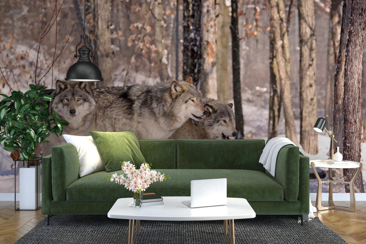 Фотошпалери група вовків йде крізь хащі зимового лісу