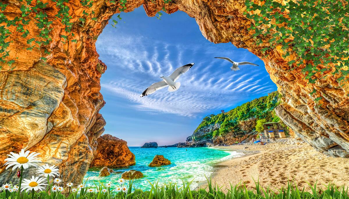 Фотошпалери Погляд на океан і політ галок