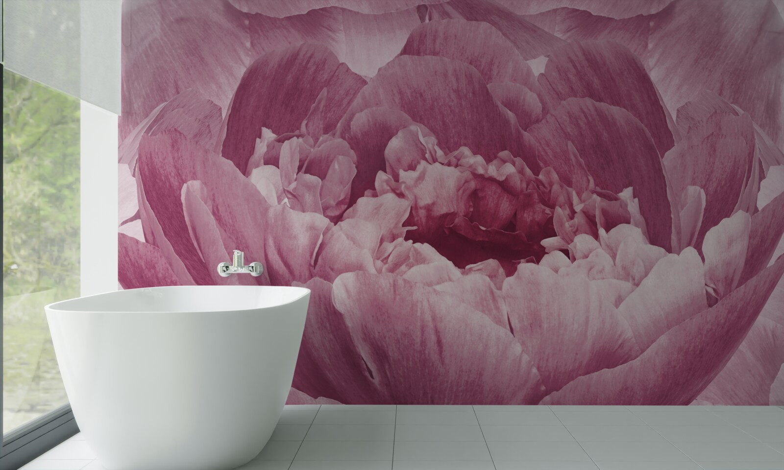 Фотошпалери рясна рожева квітка айстри