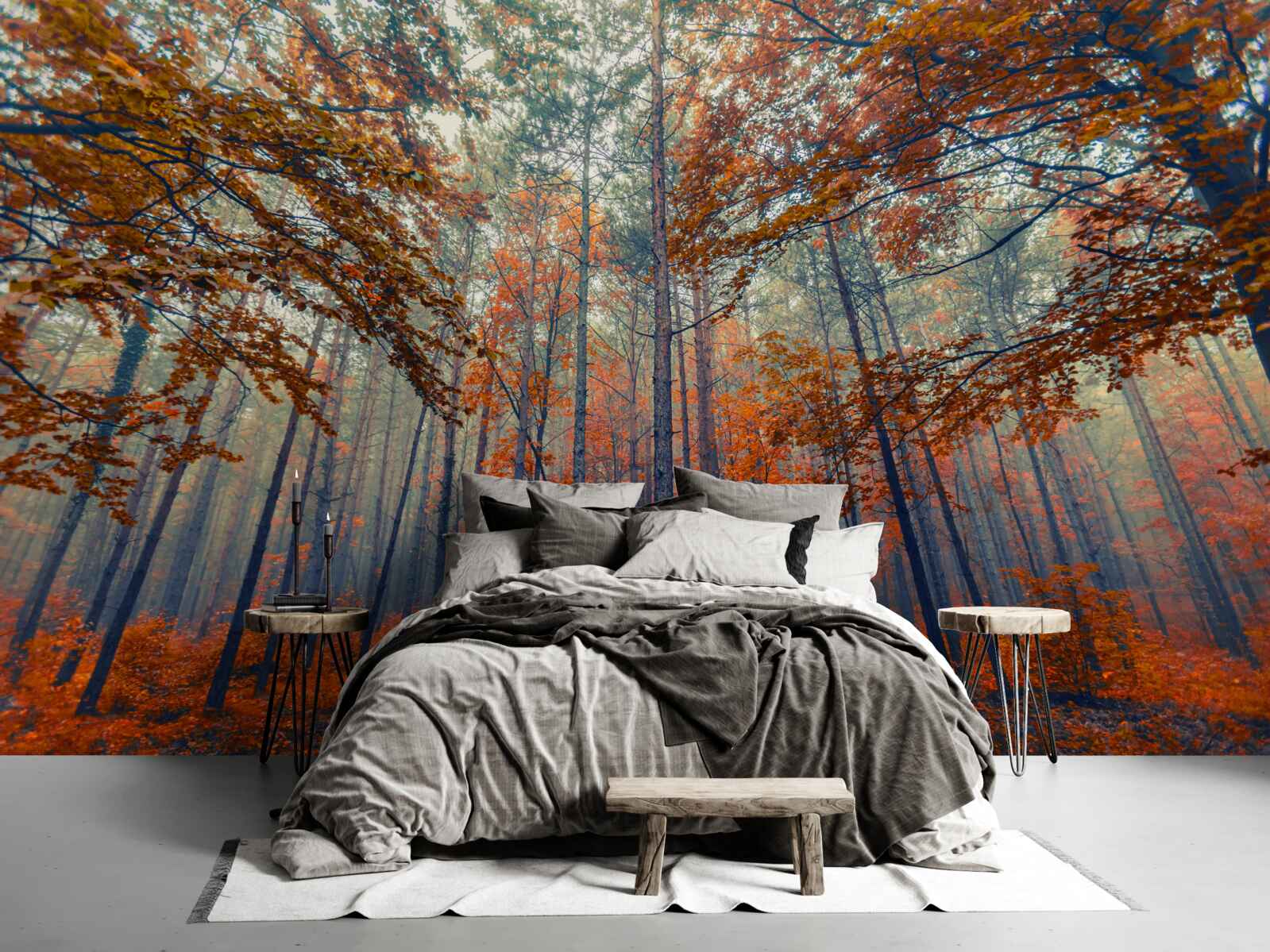 Фотошпалери опале осіннє лісове листя